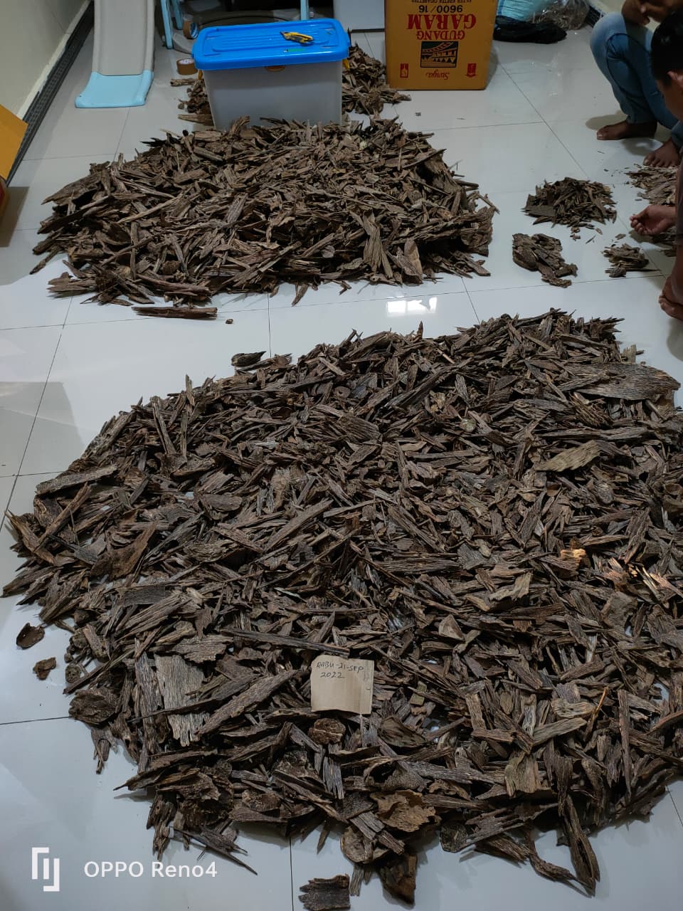 Indonesian Agarwood