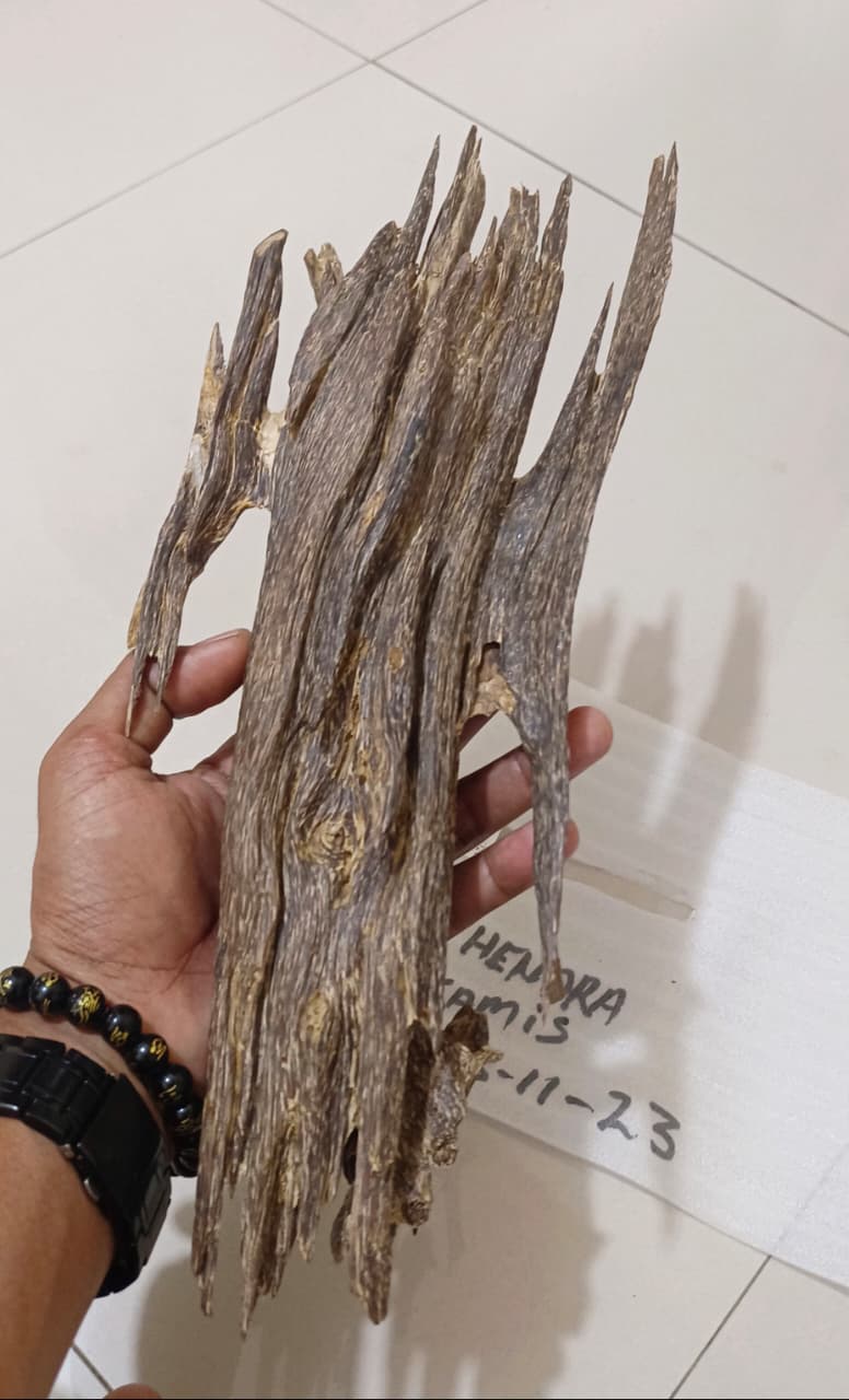 Wild Agarwood